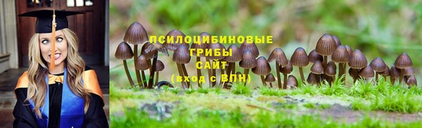 МДМА Жердевка