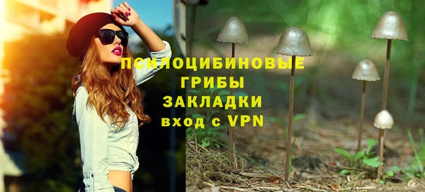 ПСИЛОЦИБИНОВЫЕ ГРИБЫ Железногорск-Илимский