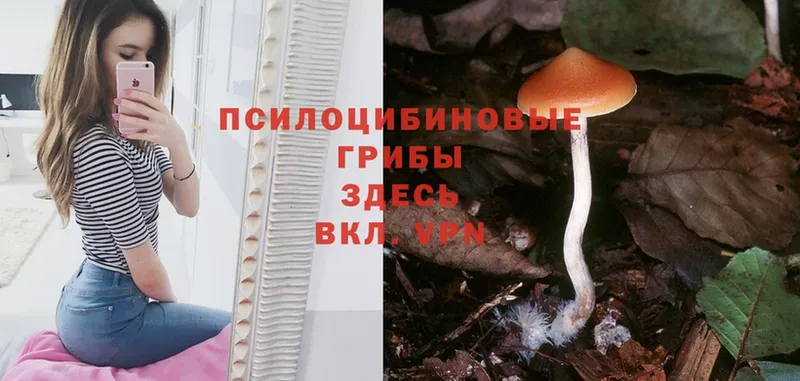 Галлюциногенные грибы Magic Shrooms  Комсомольск 